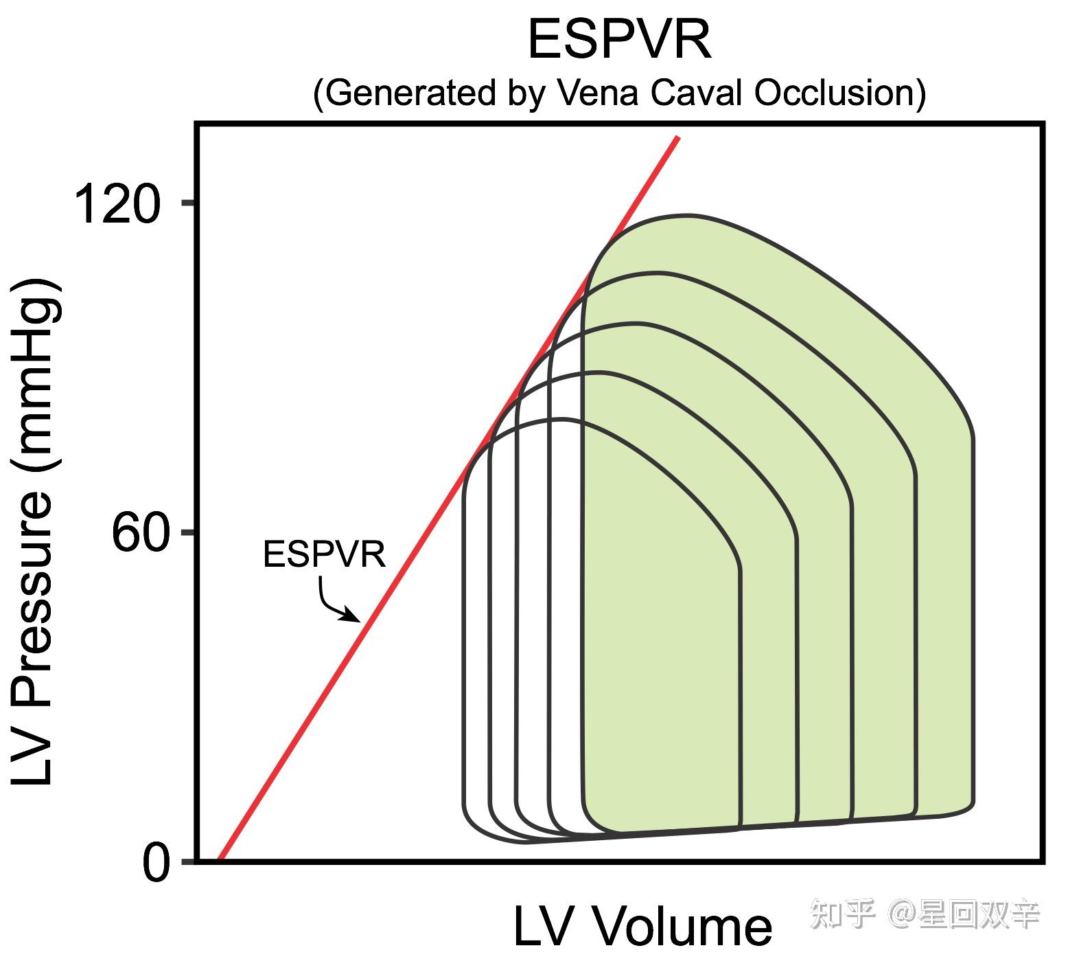 左心室压力 容积环Left ventricular pressure volume PV loops 知乎