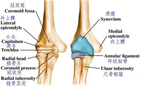 肘超伸可以和正常人一样锻炼手臂吗