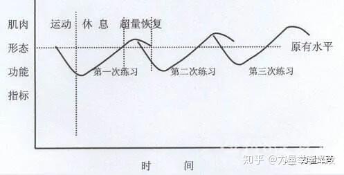 只要你的训练有规律地一直循序渐进下去,就能不断提升