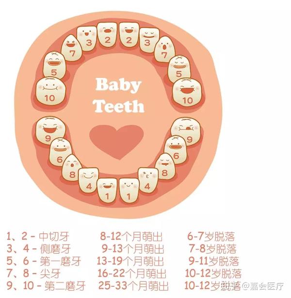 2,孩子什么时候开始换牙?几岁才能换完牙?