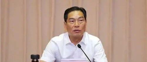 胡明朗任重庆市副市长,市公安局局长