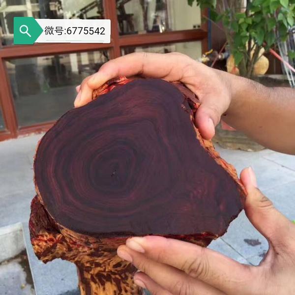 如何识别各种红木,如黄花梨,酸枝等?