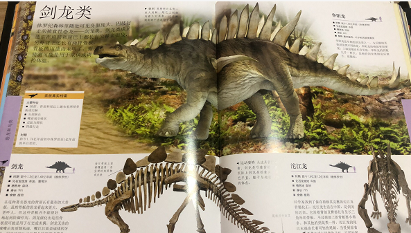 棘龙类生活在沼泽和江河入海处,是一类背上长有帆的大型恐龙.