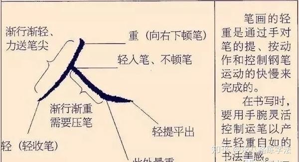 硬笔字速成:永字八法与基本笔画