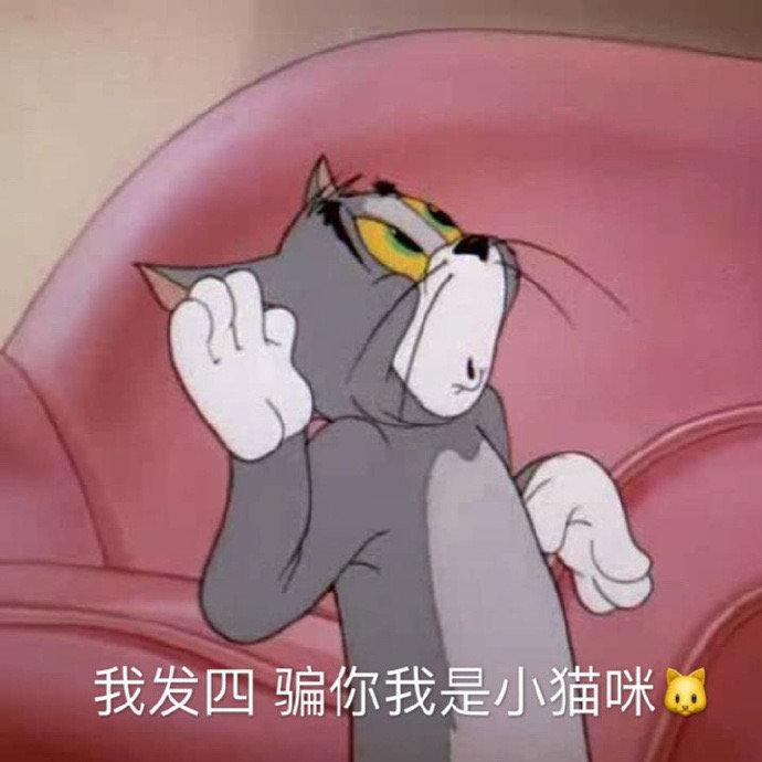 表情包:尝试放纵的滋味