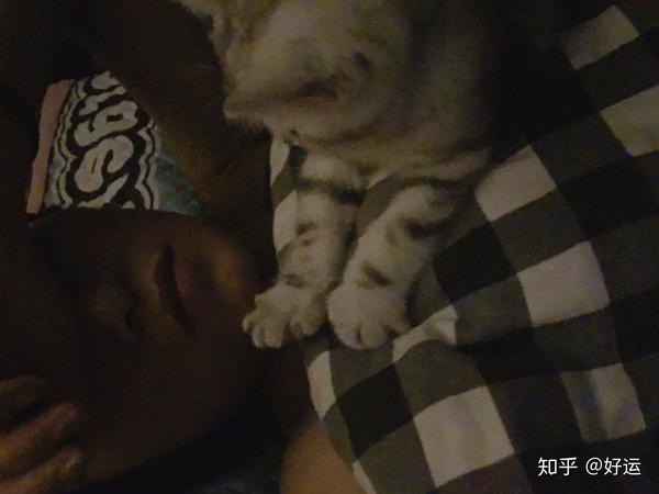 刚来的时候经常半夜把我踩醒,后来才知道这是猫咪的踩奶行为,我最喜欢