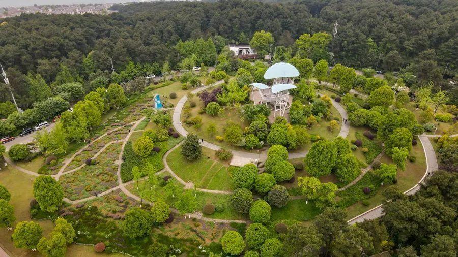 清明节旅游景点推荐铁山坪旅游攻略低音号免费语音导游