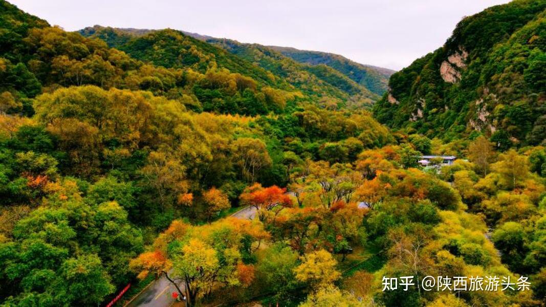 天高云淡走进秋日绚丽缤纷的宁夏六盘山国家森林公园
