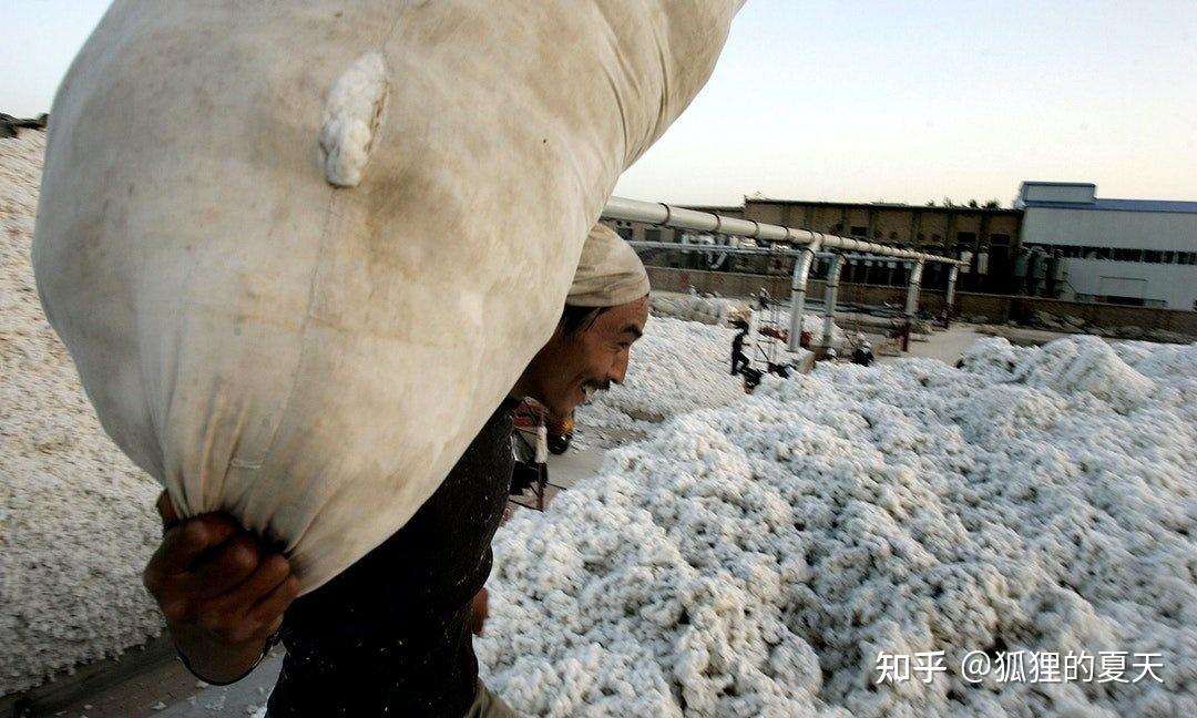 新疆棉花事件是怎么回事?为什么欧洲不让用?