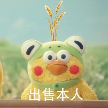 表情包:出售本人,不想要了,太累了