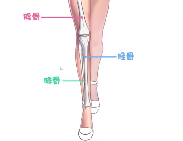 日系美腿的画法!