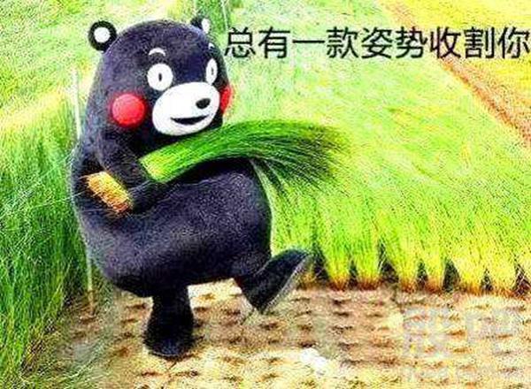 谷歌怎么也学百度开始"割韭菜"了?