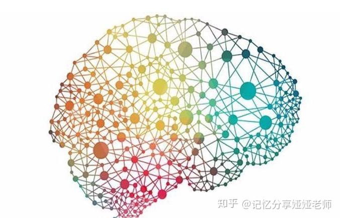 图像记忆的四大步骤图像转化图像联结图像定桩图像整理