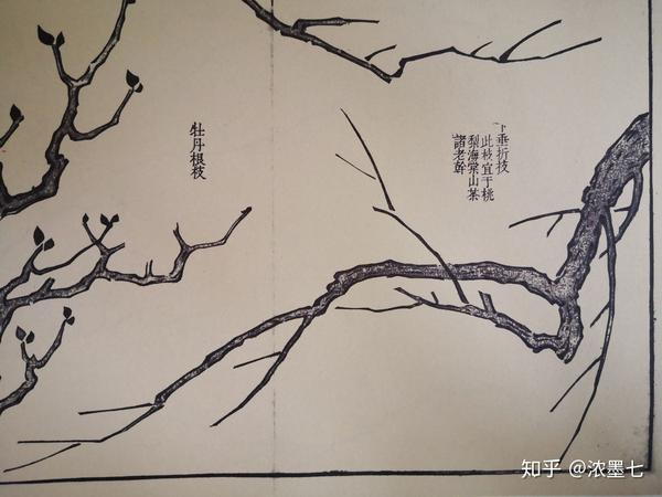 我找到了中国画启蒙教材《芥子园画谱》—《梅谱》,来看看此画一出,"