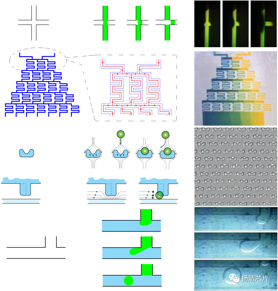 灵活的微通道网络设计是微流控芯片基本单元操作设计的一个关键所在