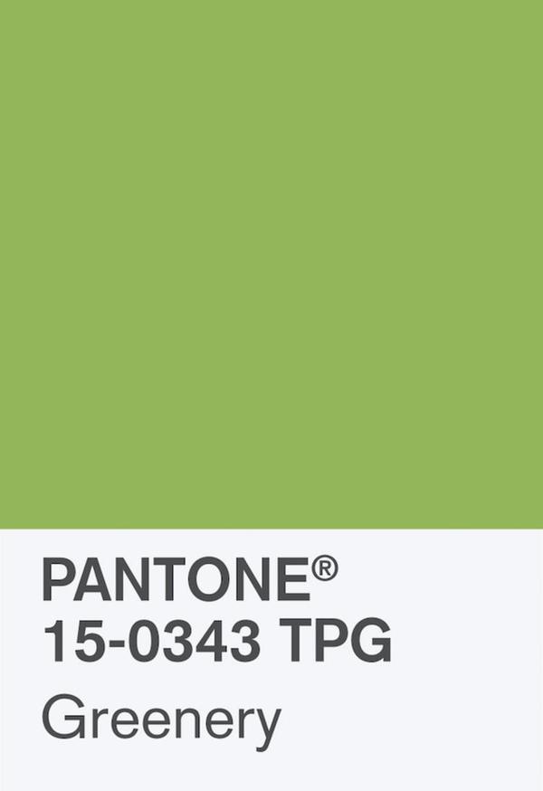 pantone 的说法:草木绿是一个代表初春时节万物复苏,欣欣向荣的颜色