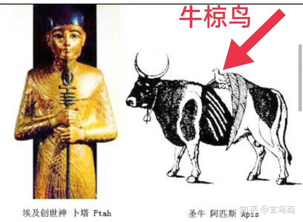 普塔神玄嚣在古埃及的形象有时也以圣牛阿匹斯的形象出现,如下图