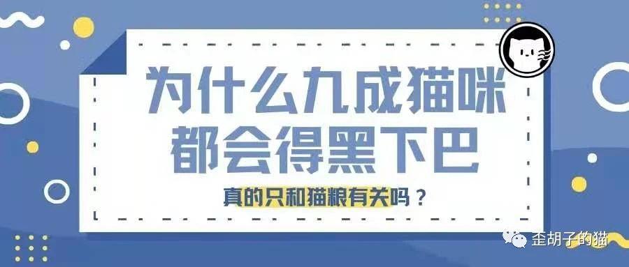 歪胡子的猫 歪胡子的猫就来给大家聊聊这个讨厌的小黑鬼.