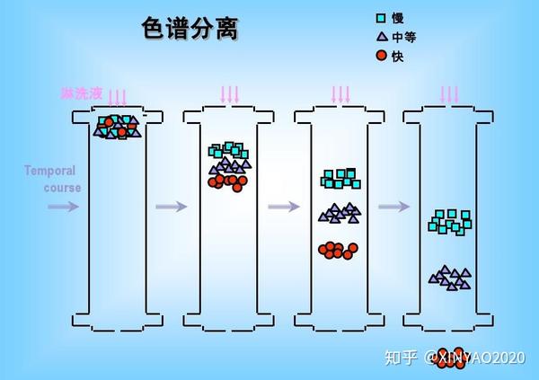 色谱柱柱效是色谱柱对色谱中两种物质分离能力的大小.