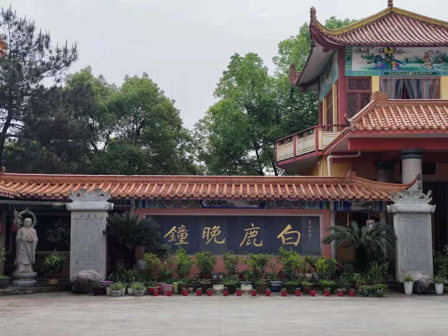 云游之益阳白鹿寺与慈基会