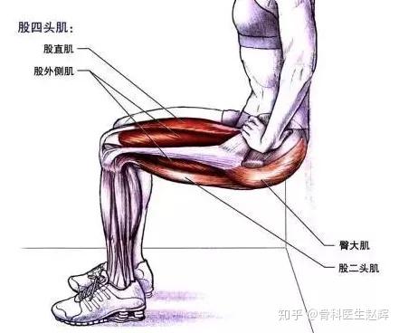 靠墙半蹲是锻炼大腿肌肉很好的动作,尤其是锻炼大腿的股四头肌,小腿