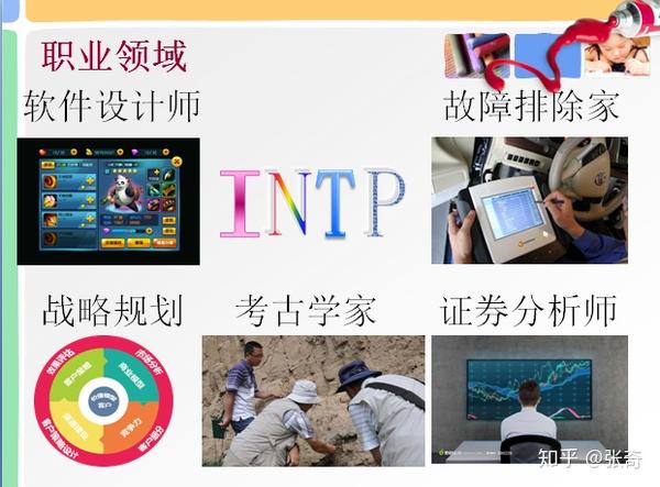 intp的职业特长