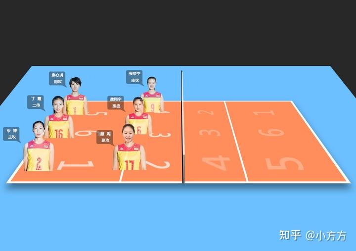 排球观赛基础知识