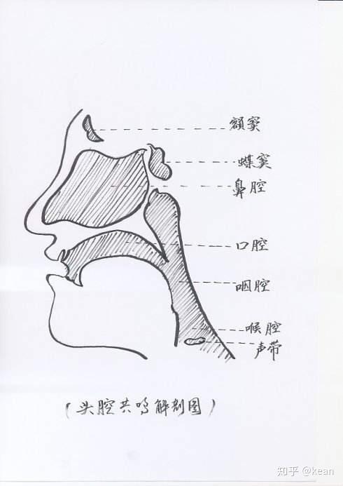 头腔共鸣理论和练习(1)