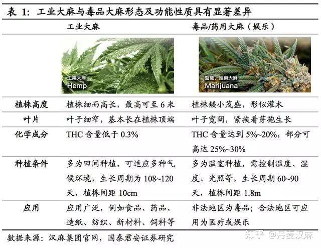 工业大麻是指四氢大麻酚thc 0.