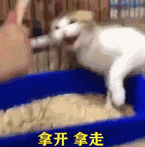 sorry,这些表情包真的可以为所欲为!