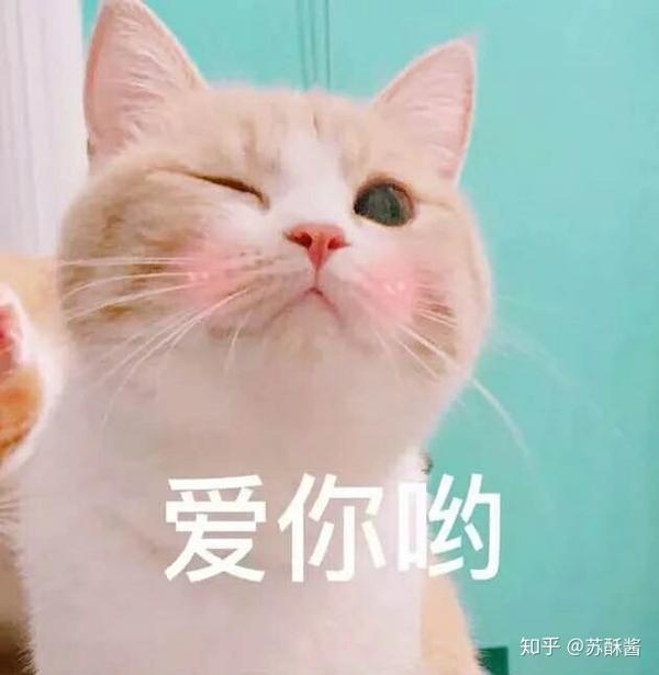 有哪些适合在撒娇时使用的表情包?