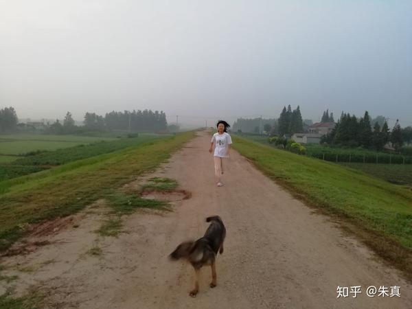 暑假回了趟乡下,我被惊呆了