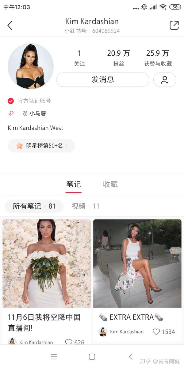 明星小红书推广费用 小红书种草行情价