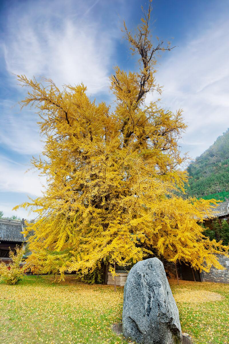 秦侣第十讲:古观音禅寺