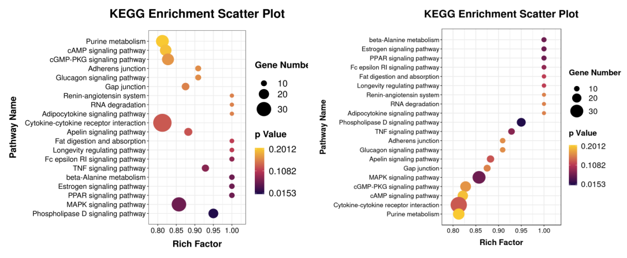 hiplot go/kegg 分析示例