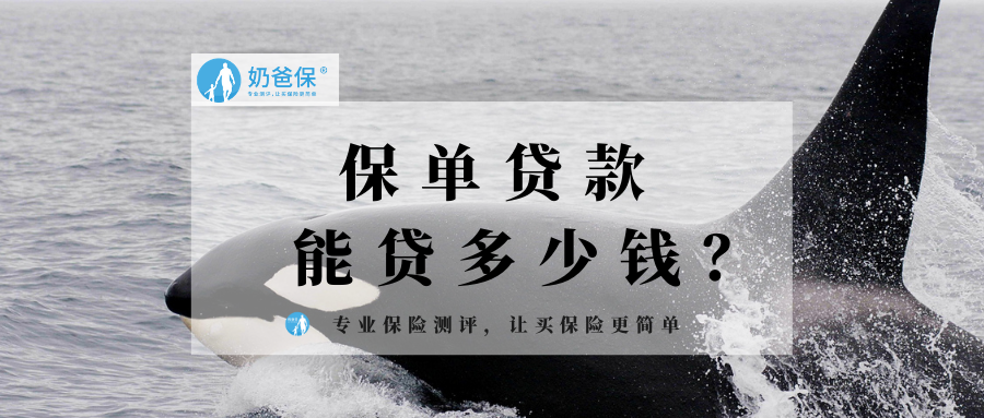 保单贷款能贷多少钱有什么特点
