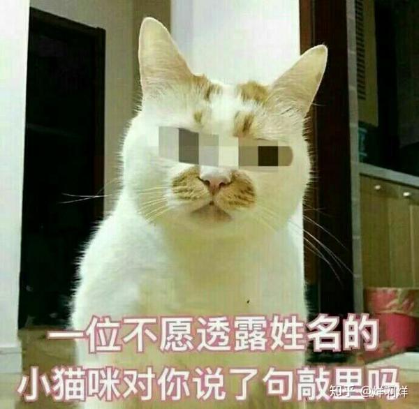 哪些表情包让你看一次笑一次?