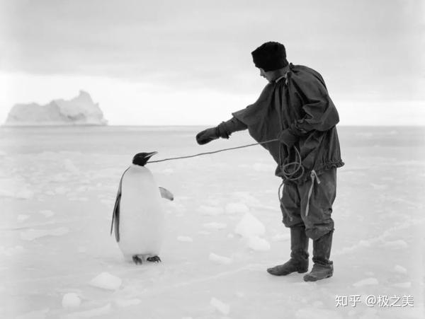 阿蒙森和斯科特的南极点争夺战是怎么一回事?