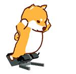 柴犬健身表情包