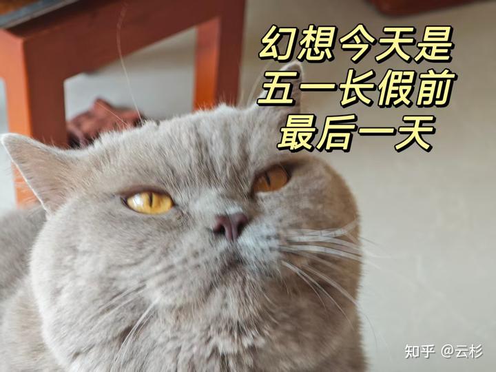 v2 9fa78cba3d623a079d96ba9f2f28f2e5 720w