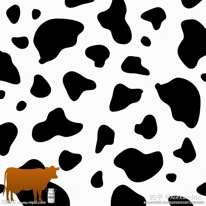 奶牛的黑白花纹这是该问题环境下的一个经典情景——在我们忽略掉那只