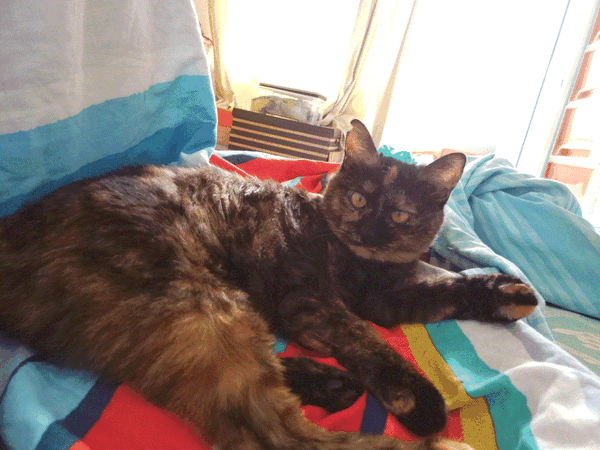 动不动就露出一副你瞅啥的不爽神情.