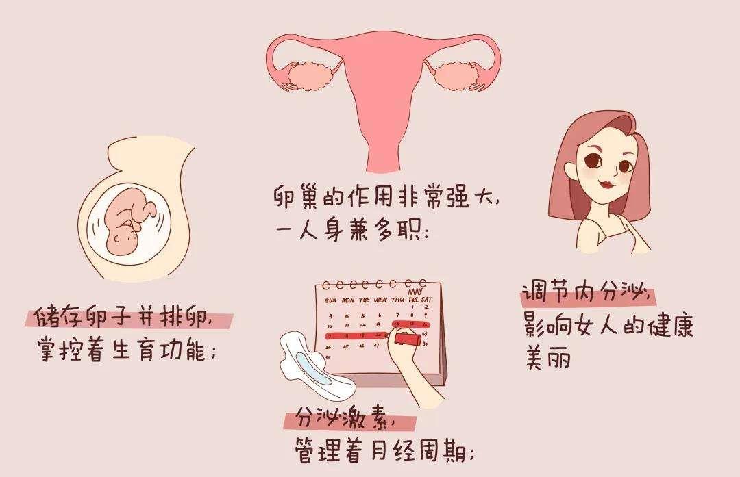 女生卵巢早衰的信号都有哪些?