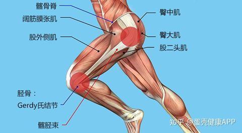 跑步时如何有效运用臀部肌肉