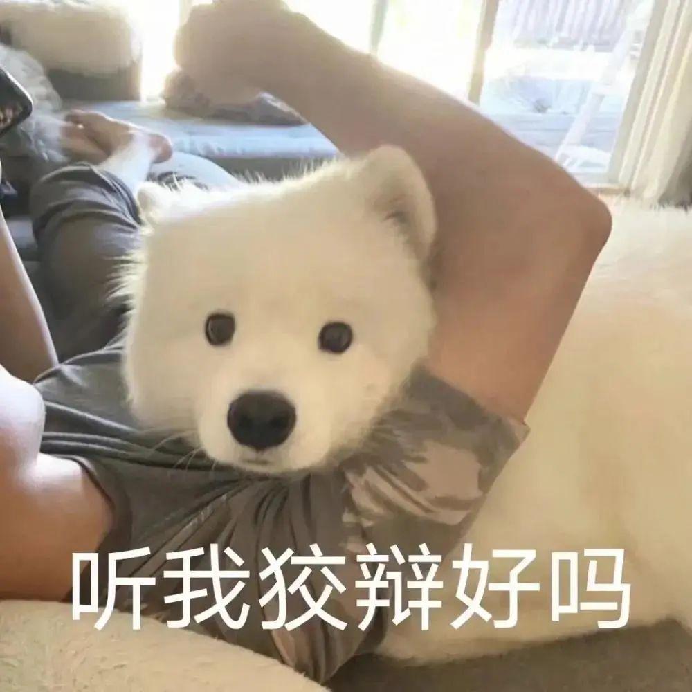 表情包消息可靠吗