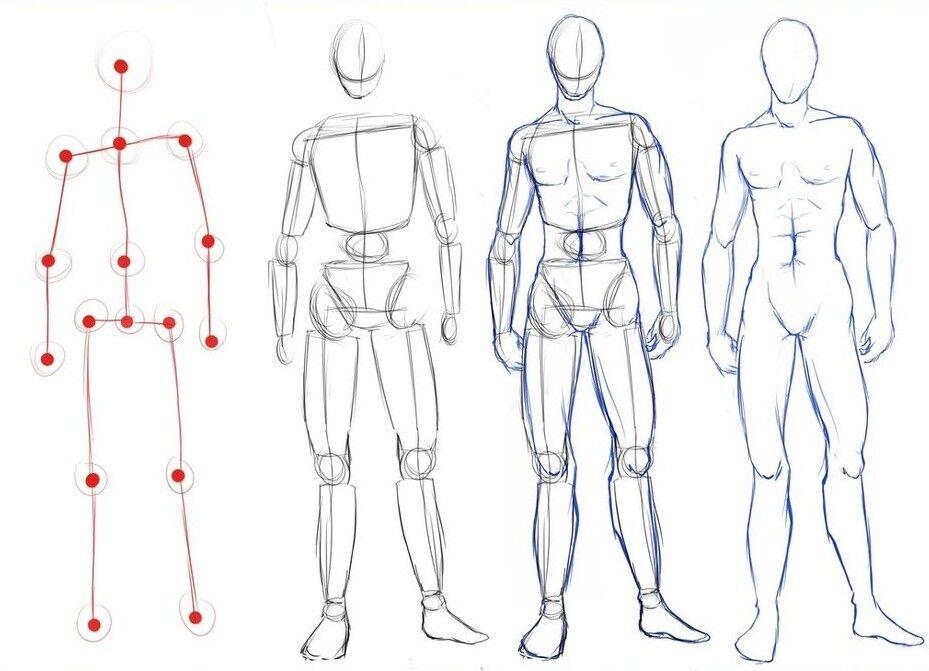 这节课会从图形方面来进行人体解构,理解人体的节点和比例,对肌肉形态