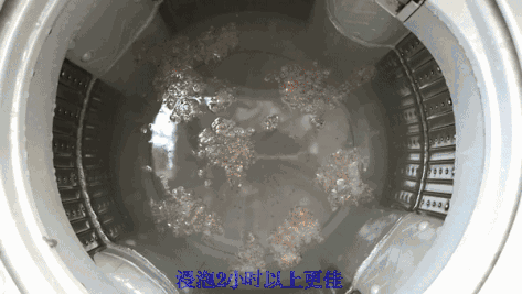 1年不洗的洗衣机比马桶脏530倍,洗出来的衣服穿在身上