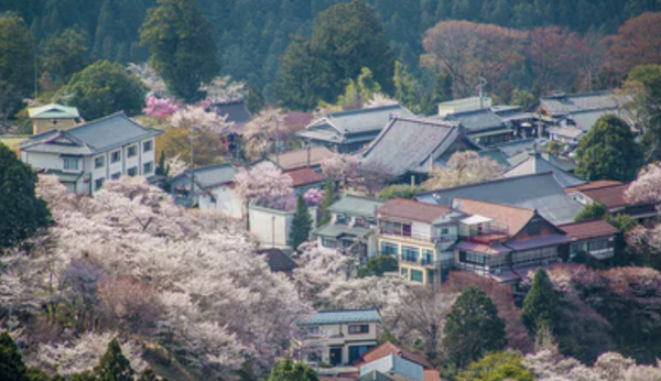 日本旅行城市推荐奈良