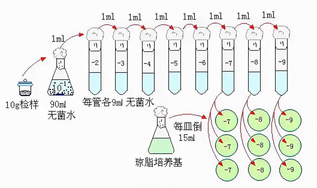 精华菌落总数检测技术要点