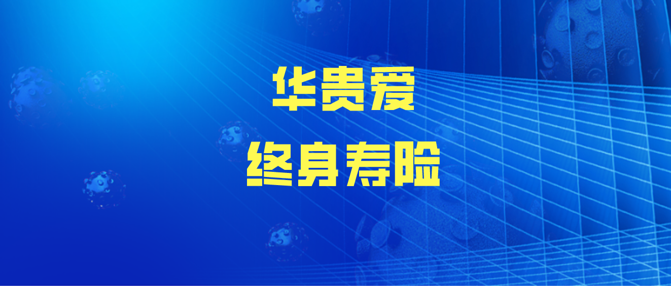 华贵爱终身寿险,真实内部收益率曝光